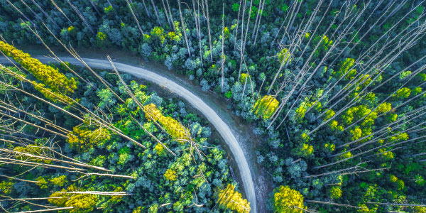 Clearing the way for a super highway